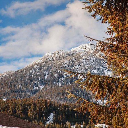 Updated Whistler Creek Studio With Parking Уистлер Экстерьер фото